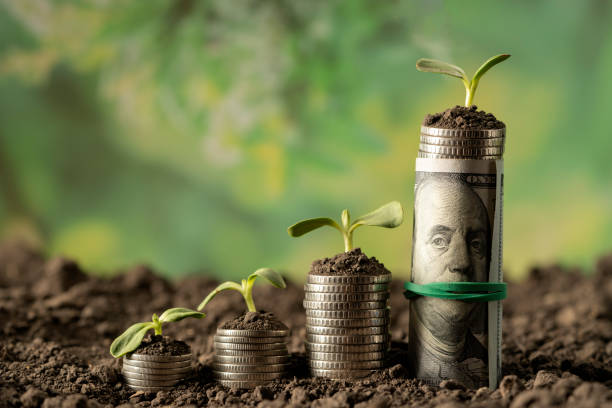 Agricultural Grants and Incentives